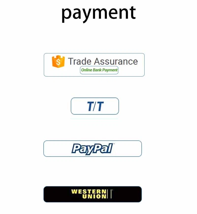 payment payment